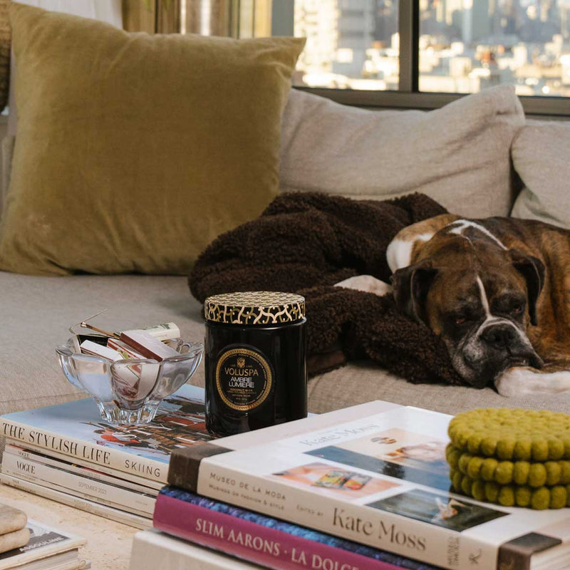 Ambre Lumiere - Large Jar Candle