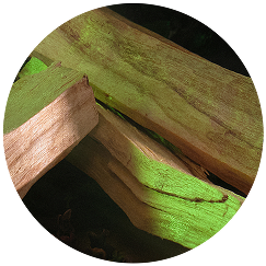 Palo Santo