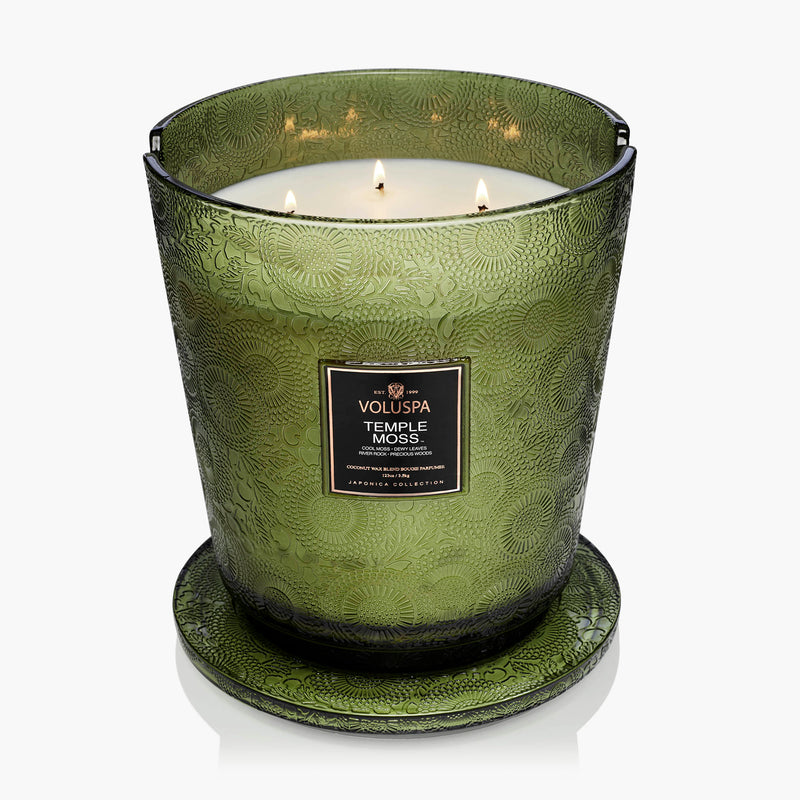 Temple Moss - 5 Wick Hearth Candle