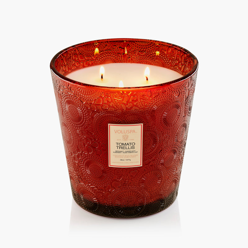 Tomato Trellis - 3 Wick Hearth Candle - view 5