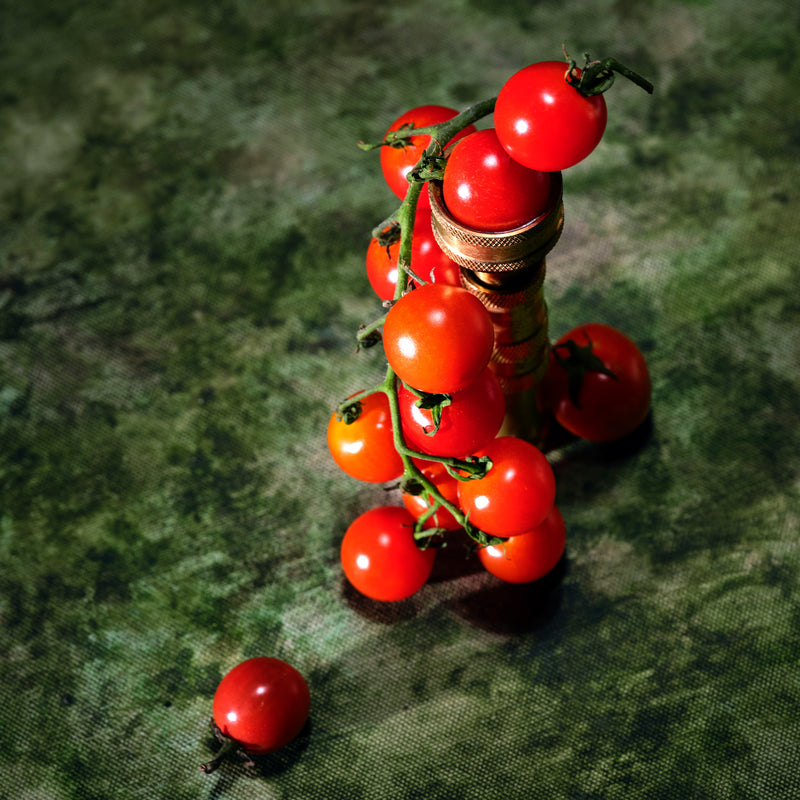 Tomato Trellis - Mini Tin Candle - view 4