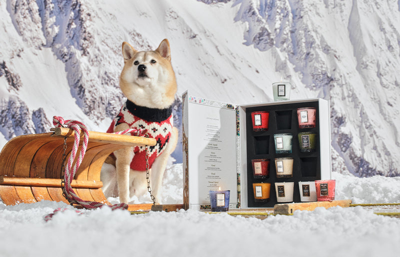 Voluspa Japonica Archive 12 Votive candle gift set styled in a snowy scene with a wooden sled and a dog in a knit sweater