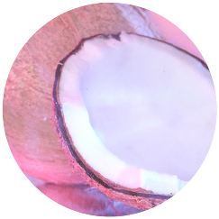 Crisp Coconut Water