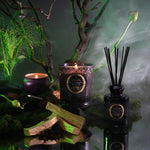 Palo Santo Spells - Boxed Candle