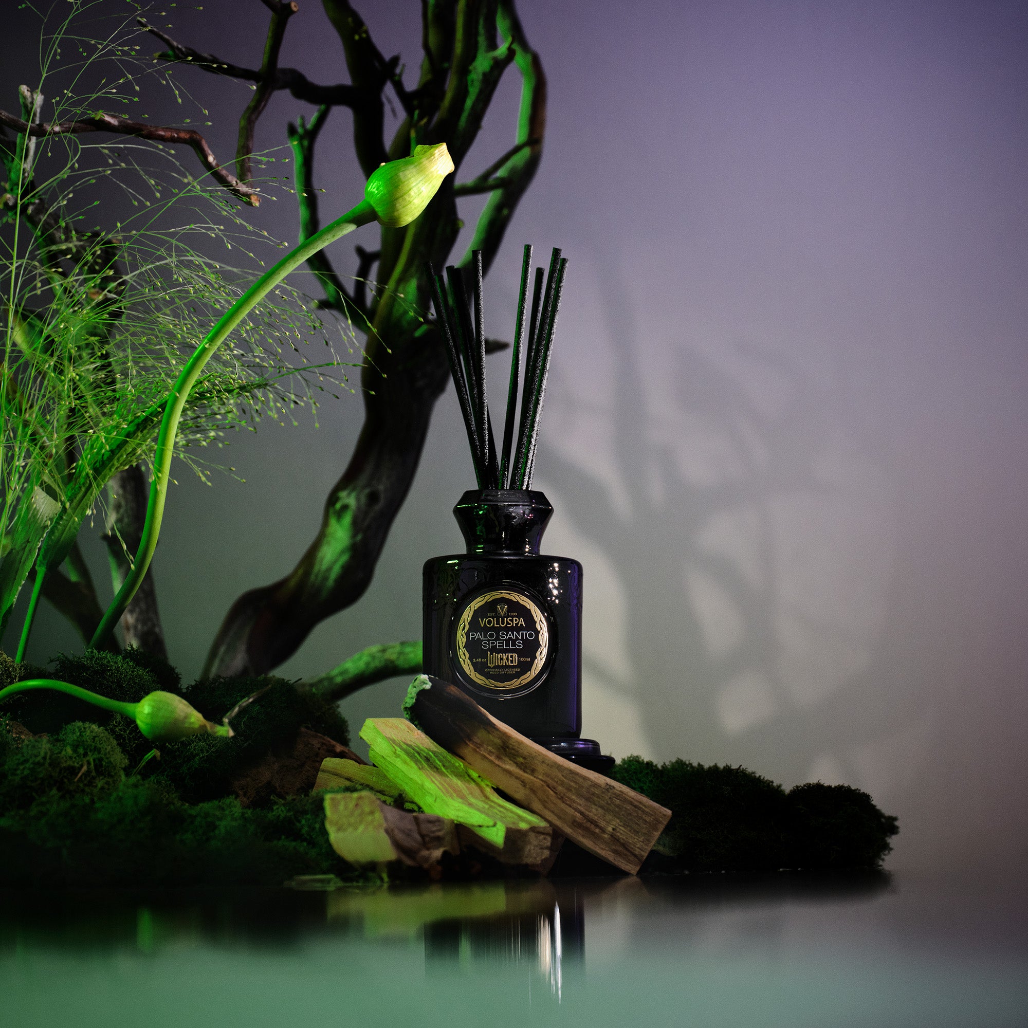 Palo Santo Spells | Reed Diffuser | VOLUSPA