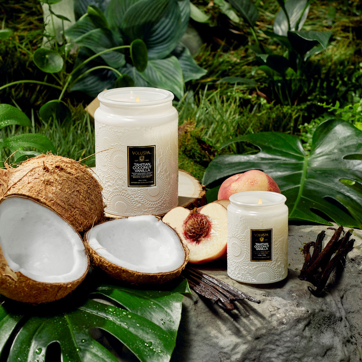 Tahitian Coconut Vanilla Voluspa Candle 5.5oz Small Jar