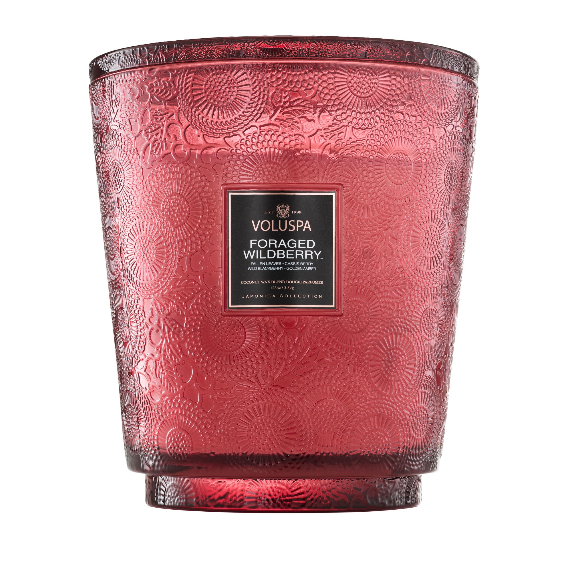 Foraged Wildberry - 5 Wick Hearth Candle