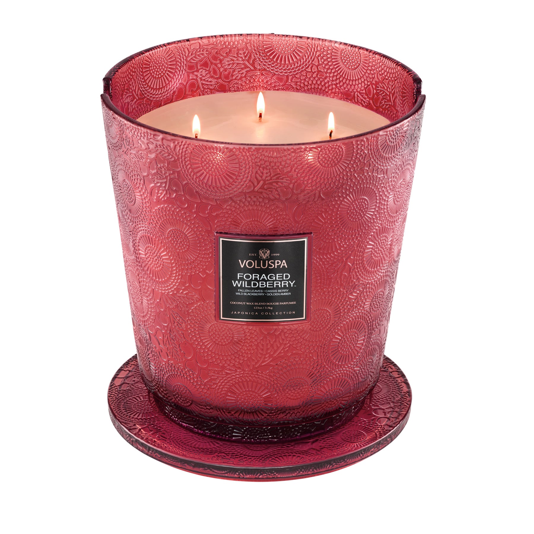 Foraged Wildberry - 5 Wick Hearth Candle