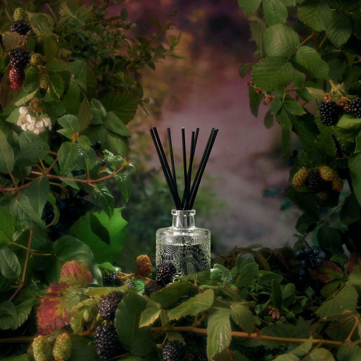 Red Berry Reed Diffuser Foraged Wildberry | Reed Diffuser | VOLUSPA