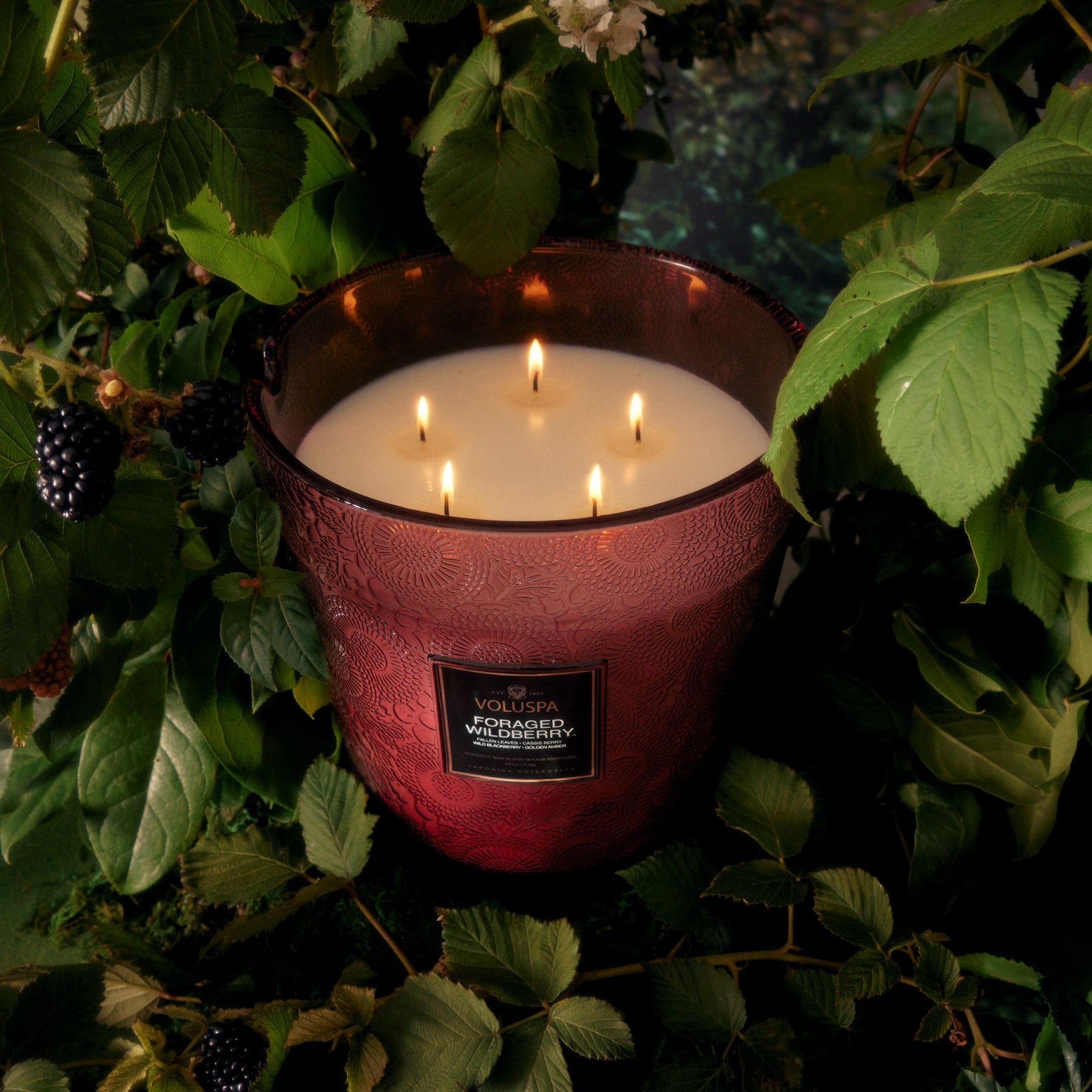 Foraged Wildberry - 5 Wick Hearth Candle