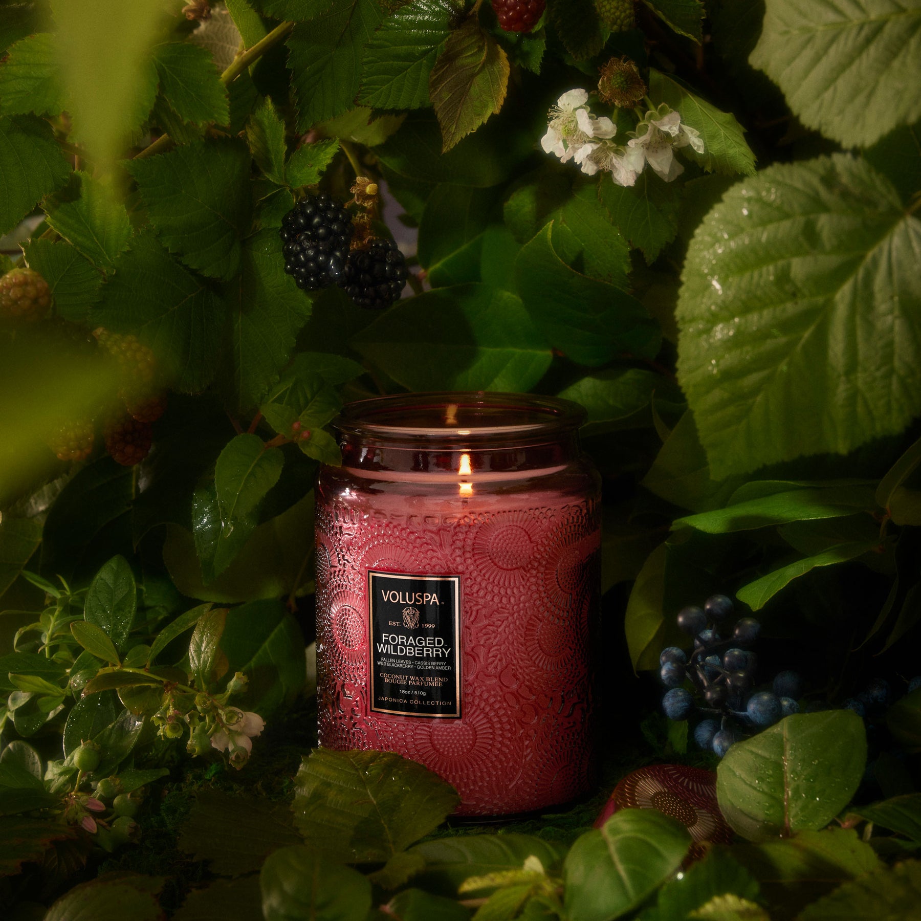 Foraged Wildberry - Luxe Jar Candle