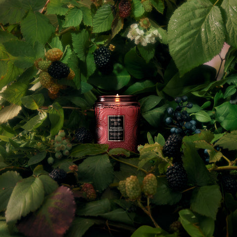 Foraged Wildberry - Small Jar Candle