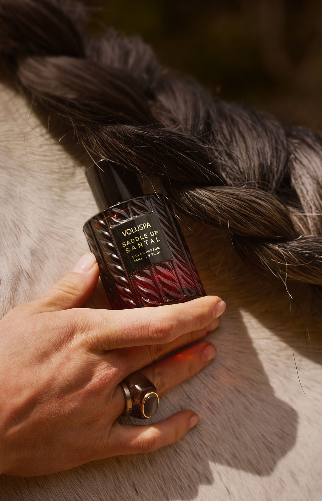 Year of the Horse - click to view collection