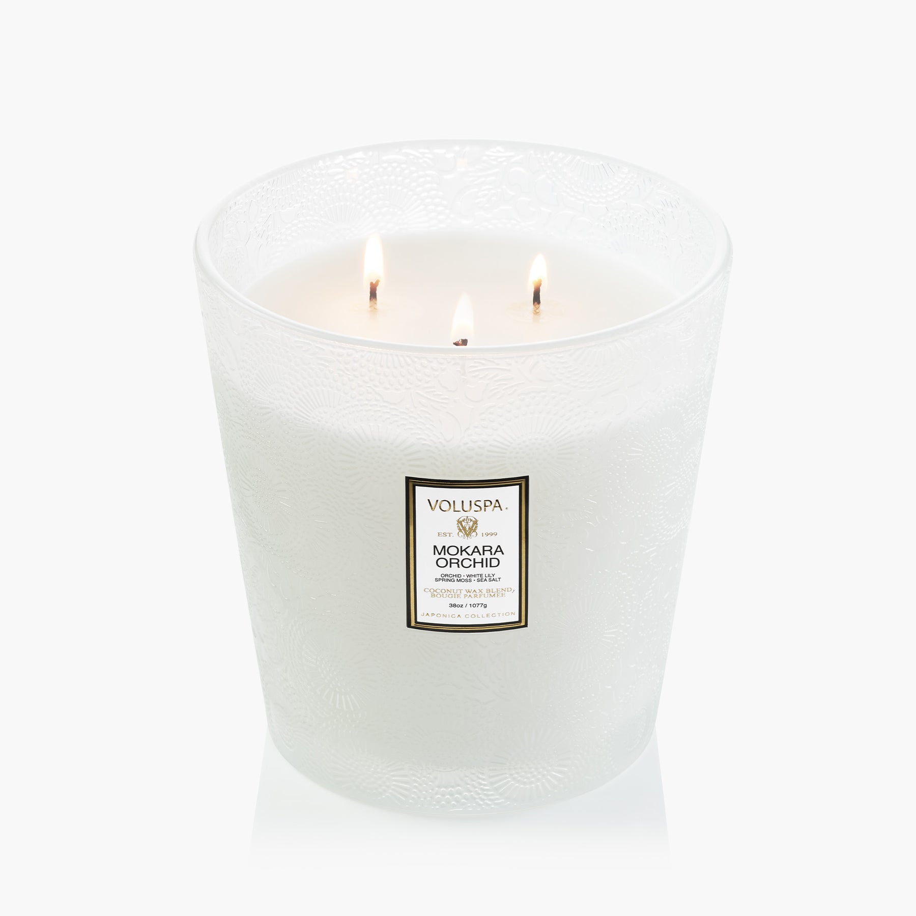 white lily candle Mokara Orchid | 3 Wick Hearth Candle