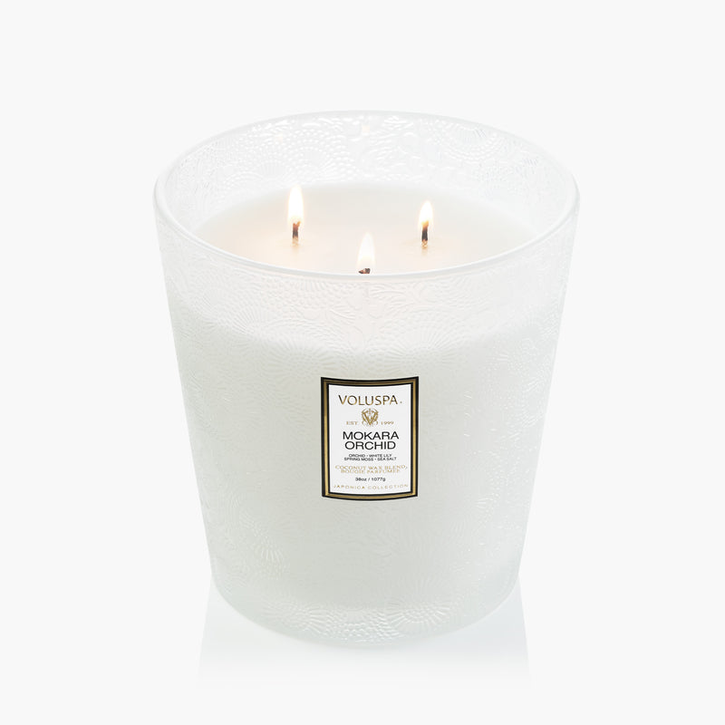 Mokara Orchid - 3 Wick Hearth Candle