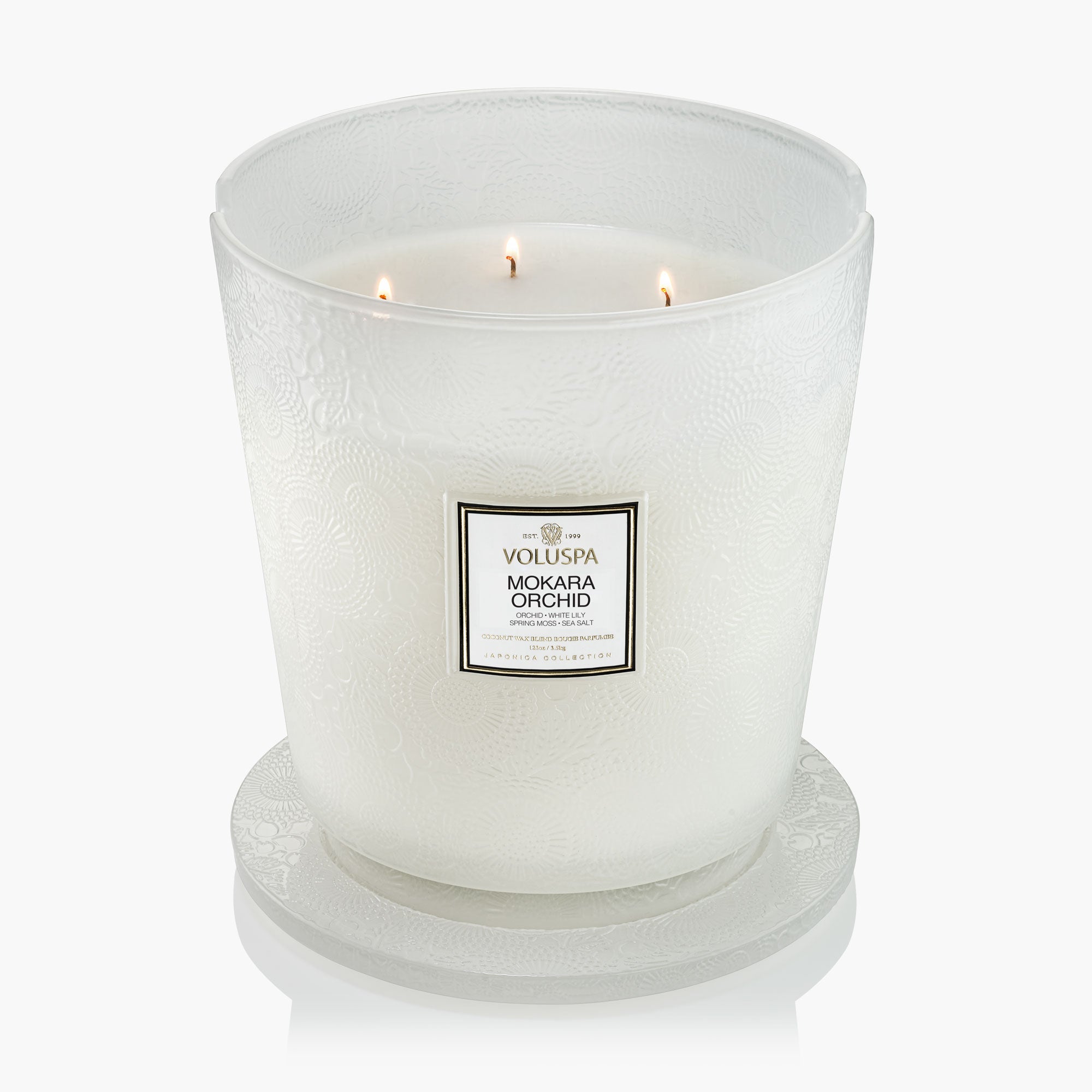 Mokara Orchid | 5 Wick Hearth Candle | VOLUSPA
