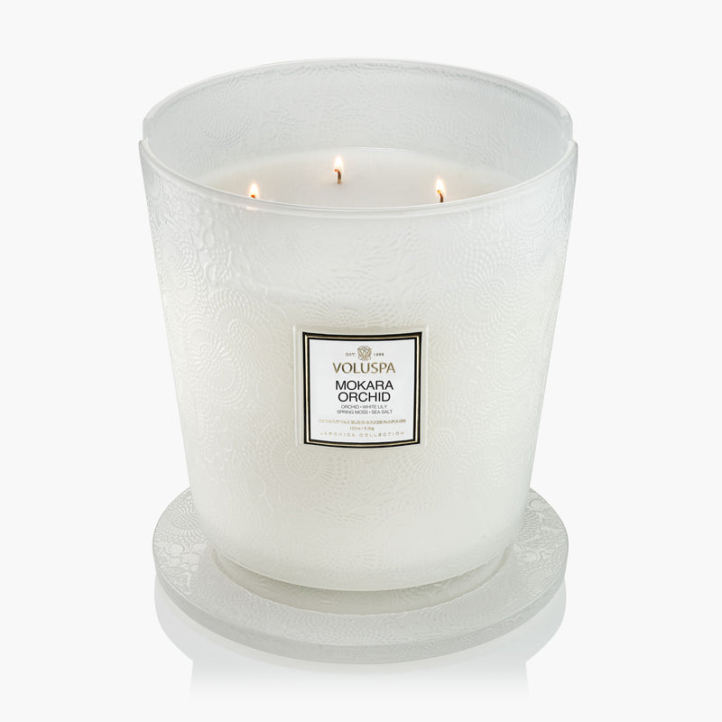 Mokara Orchid - 5 Wick Hearth Candle - view 2