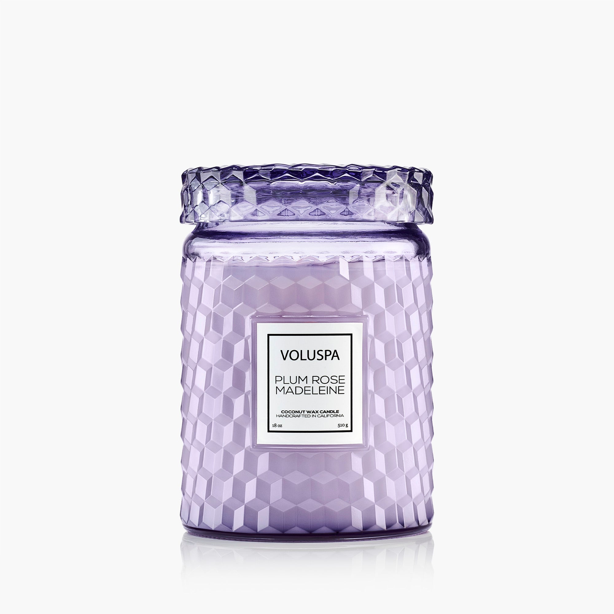 Plum Rose Madeleine - Large Jar Candle - main image