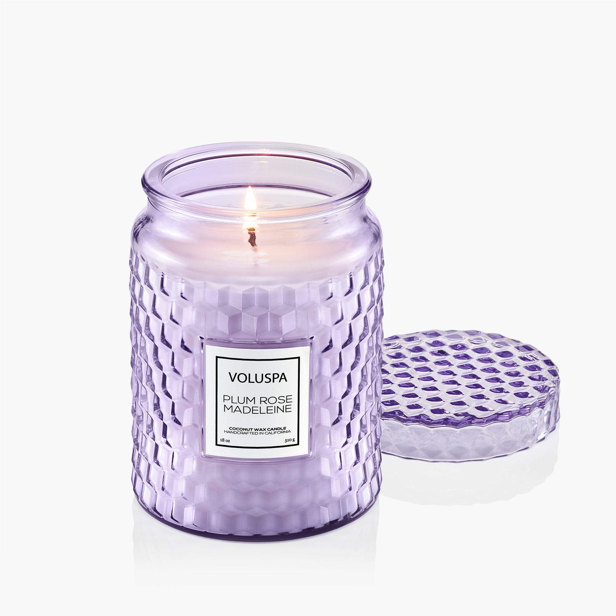 Plum Rose Madeleine - Large Jar Candle - hover image