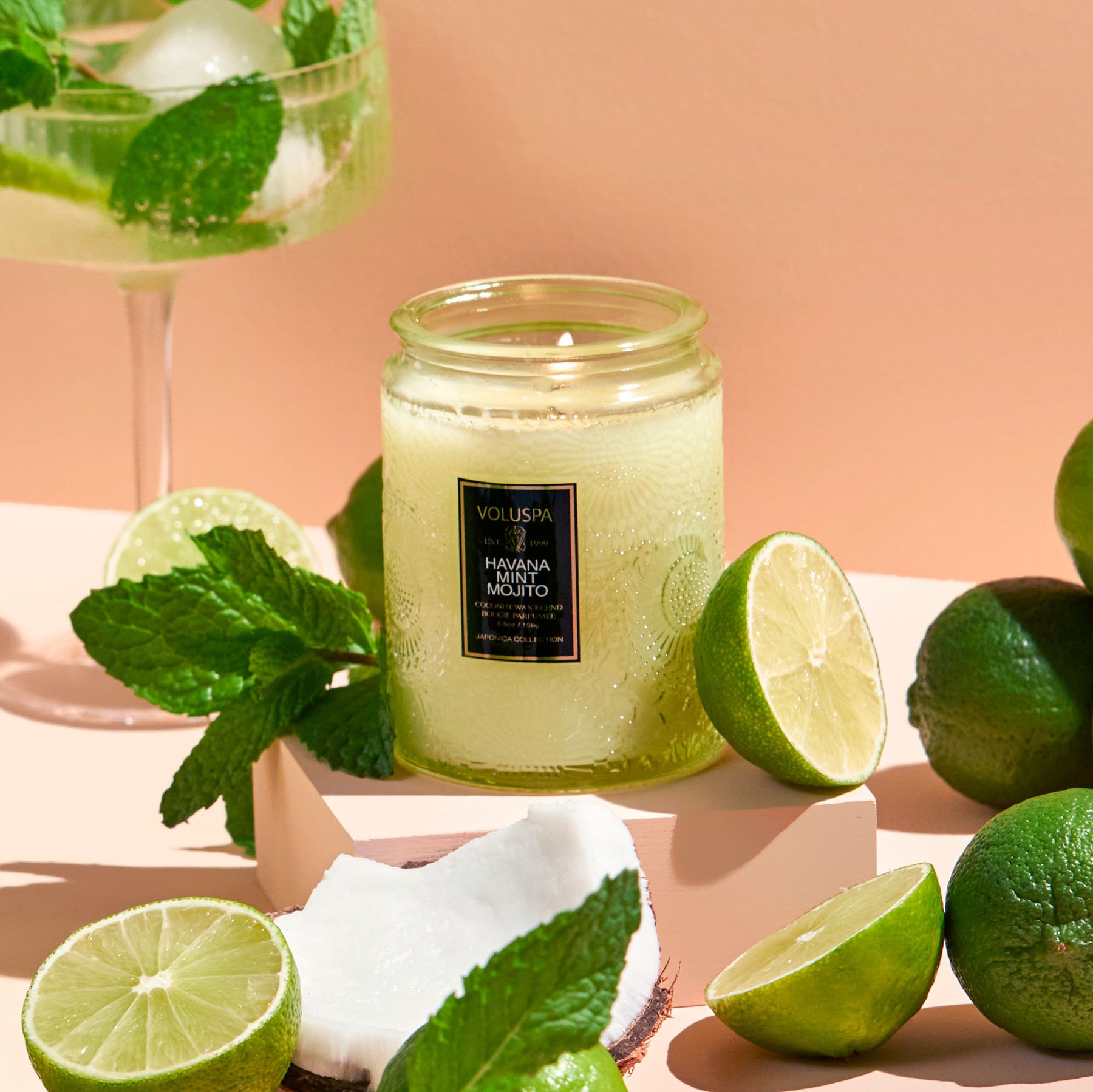 Image of the Havana Mint Mojito in the Small Jar staged with scent notes.