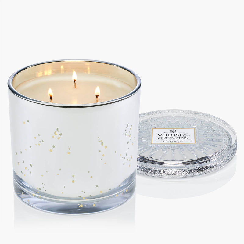Silver Birch Peppercorn - Grande Maison Candle
