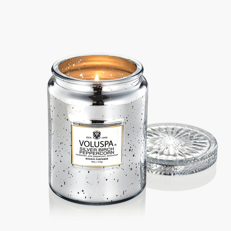 Silver Birch Peppercorn - Large Jar Candle