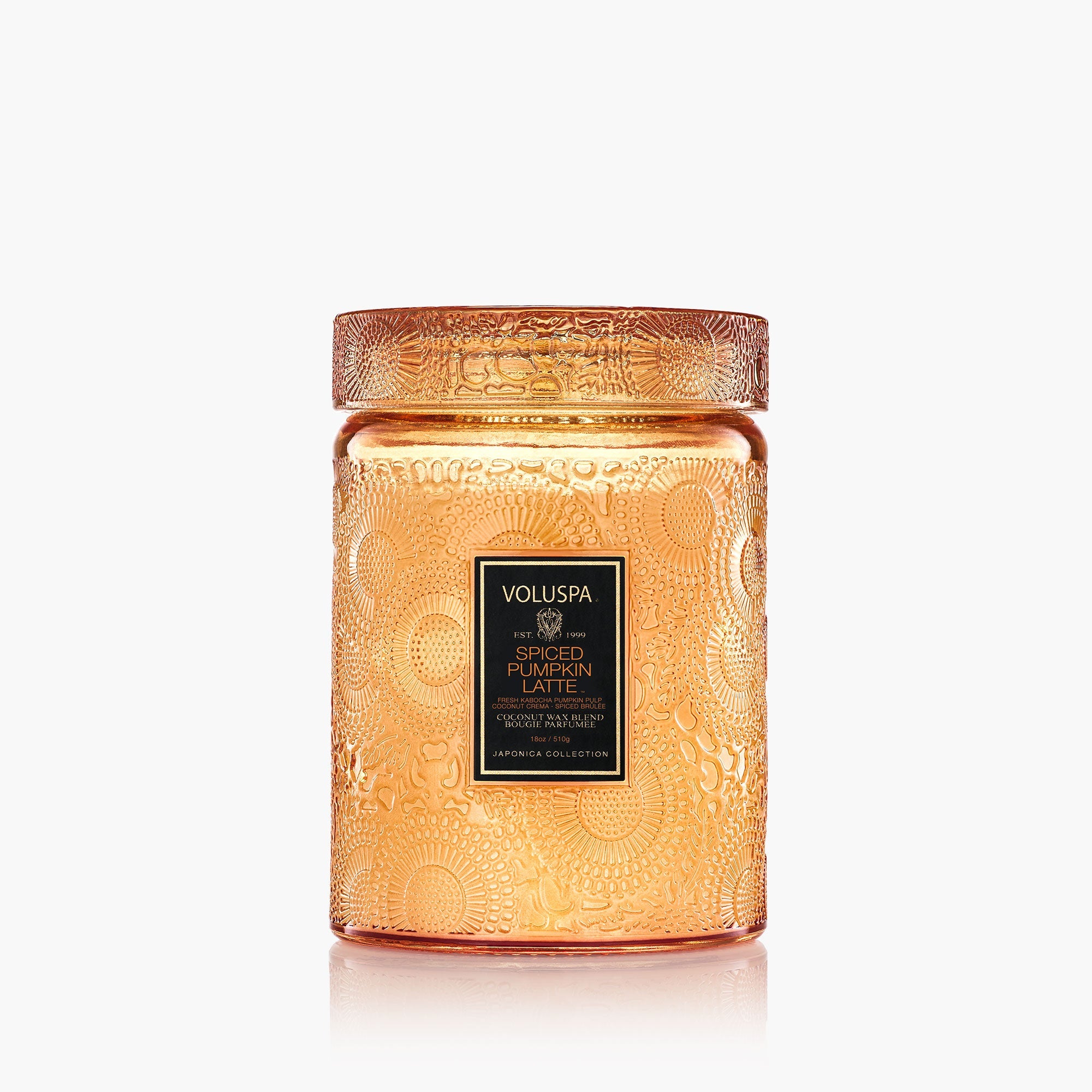 Fall Favorites