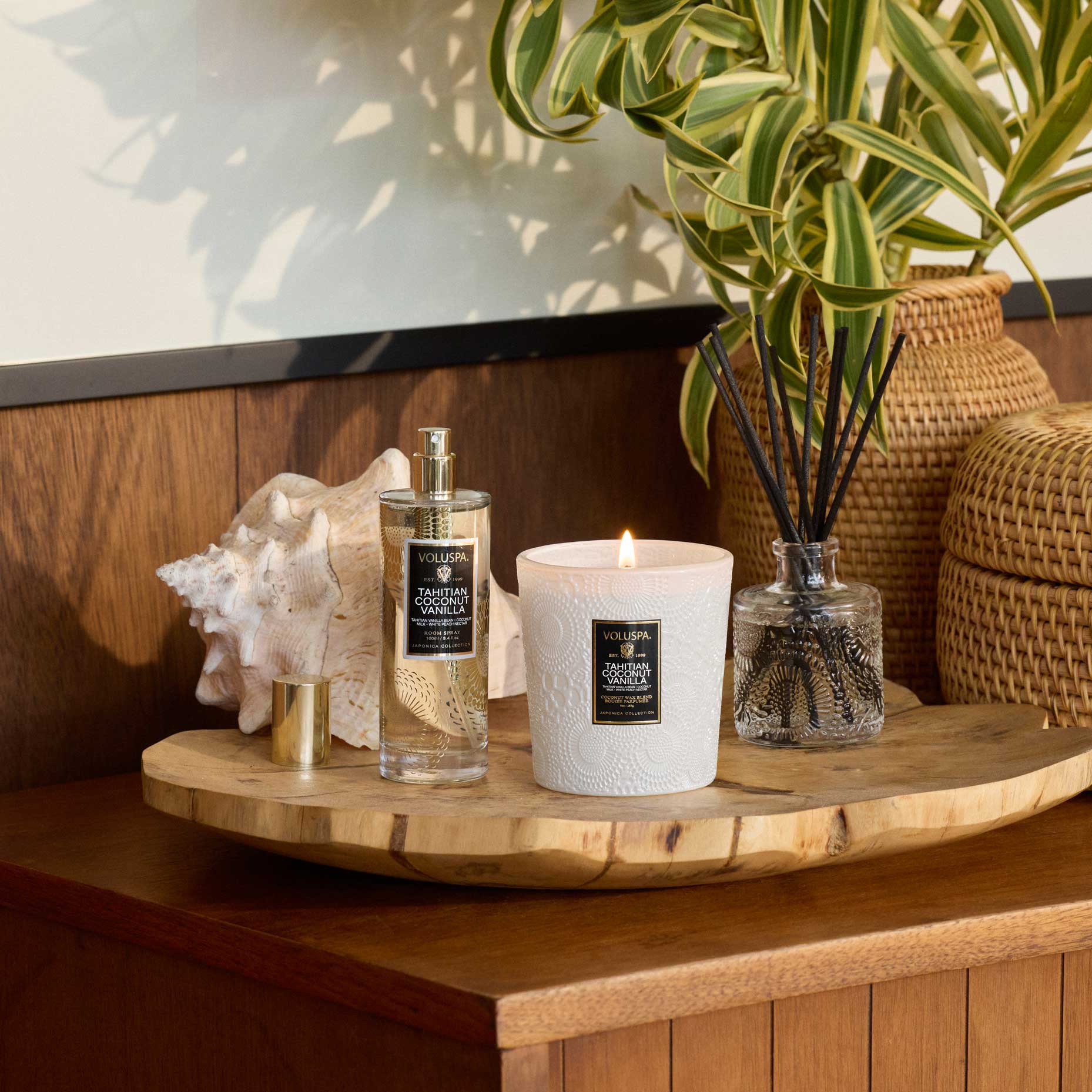 Tahitian Coconut Vanilla | Classic Candle | VOLUSPA