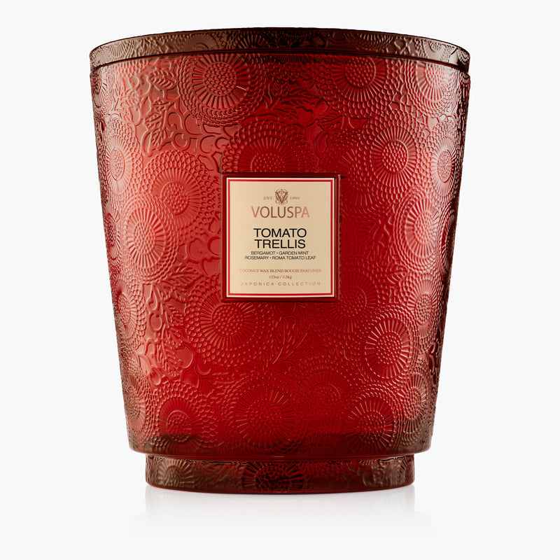 Tomato Trellis - 5 Wick Hearth Candle - view 1