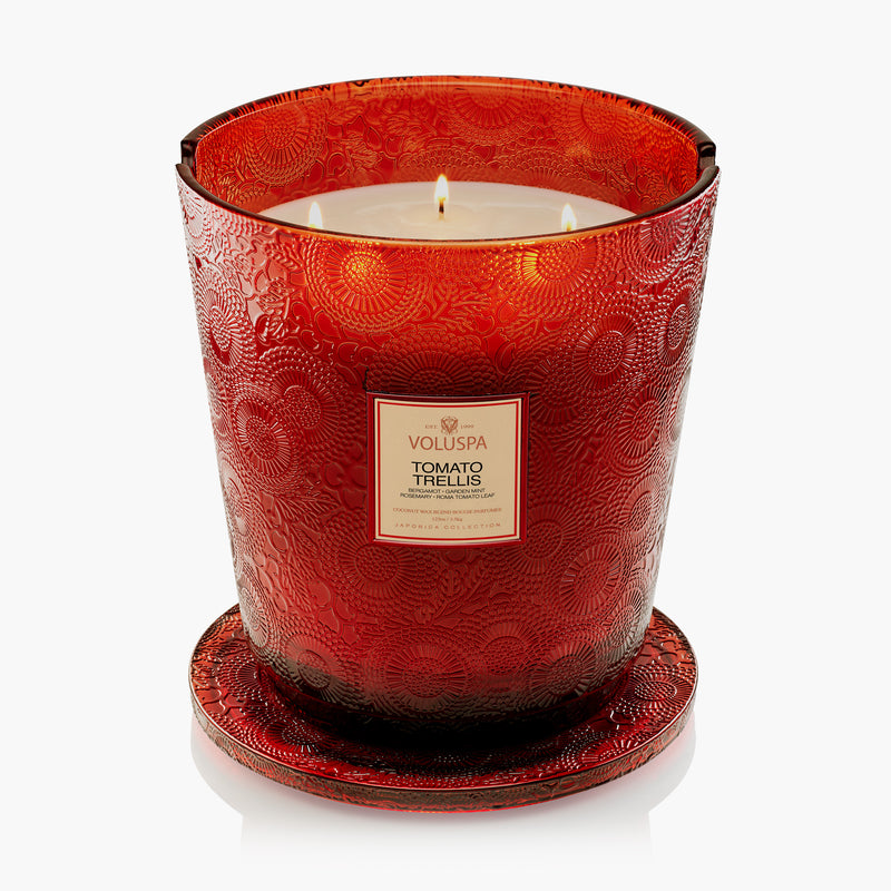 Tomato Trellis - 5 Wick Hearth Candle - view 4