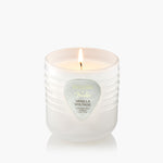 Vanilla Voltage - Boxed Candle