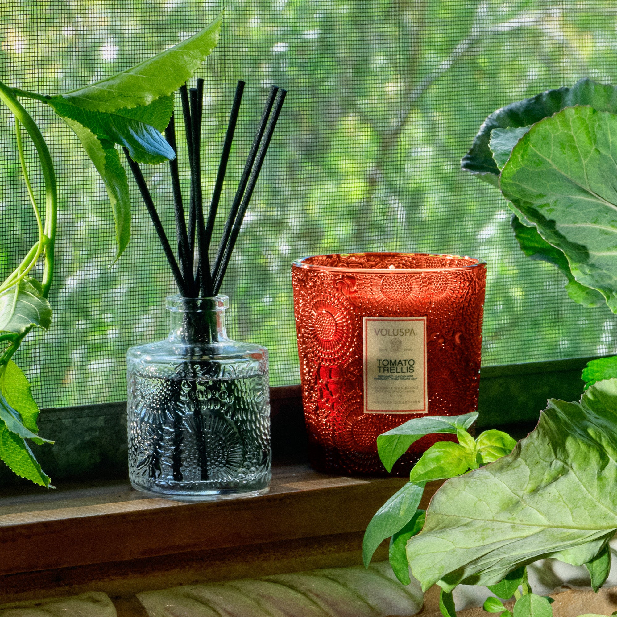 Tomato Trellis | Reed Diffuser | VOLUSPA