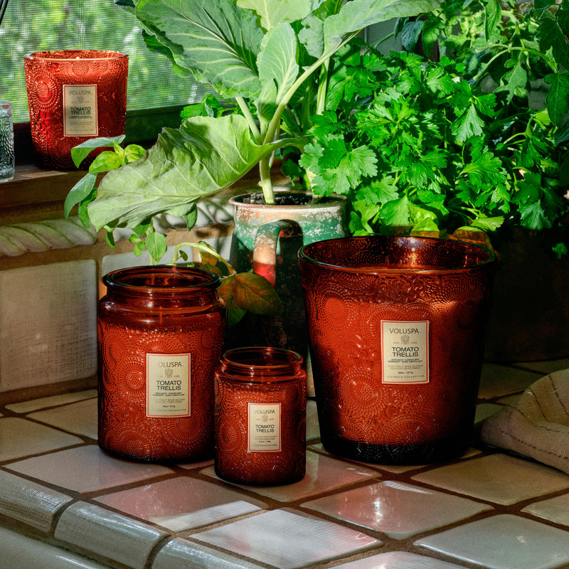 Tomato Trellis - Small Jar Candle - view 3