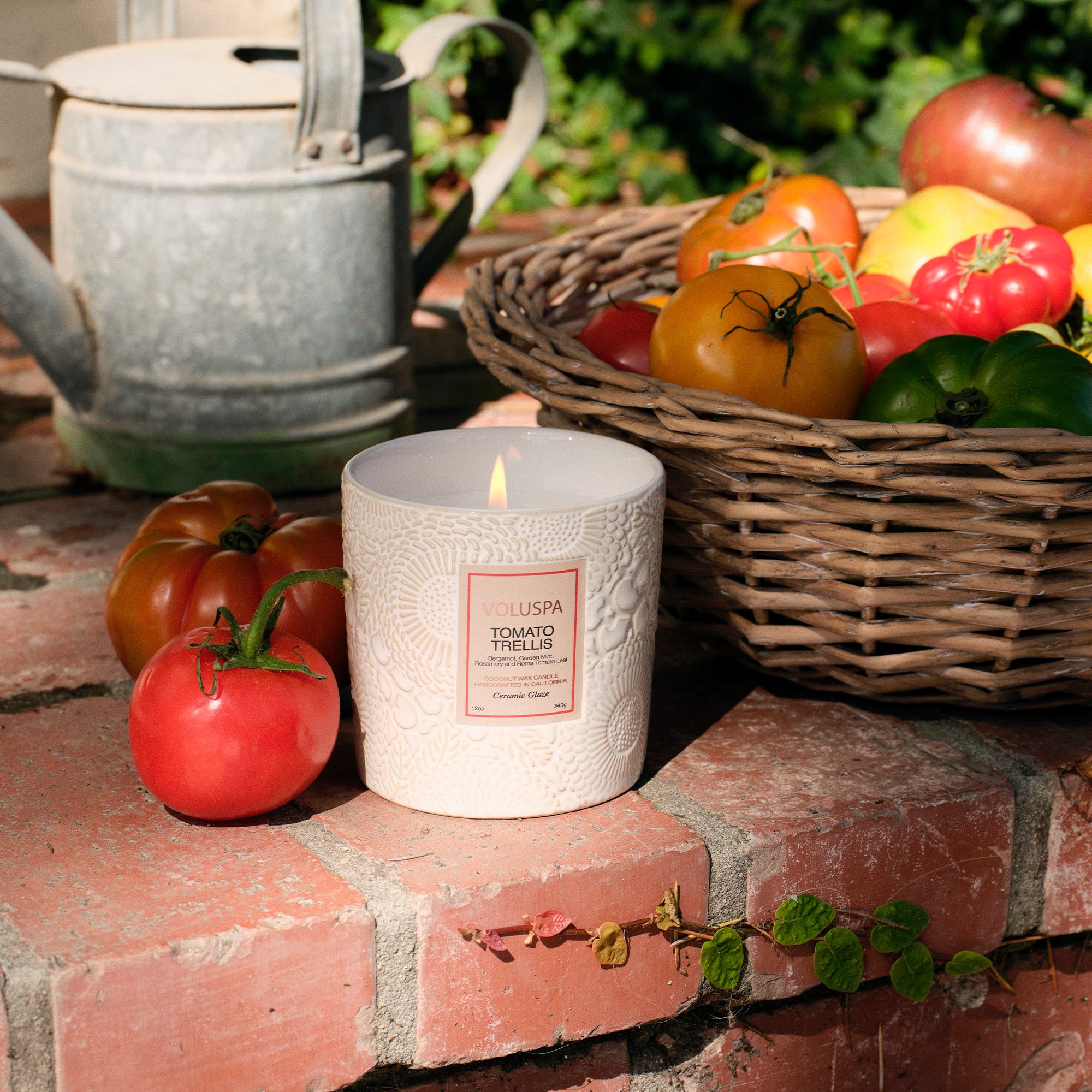 Tomato Trellis | Ceramic Luxe Classic Candle | VOLUSPA
