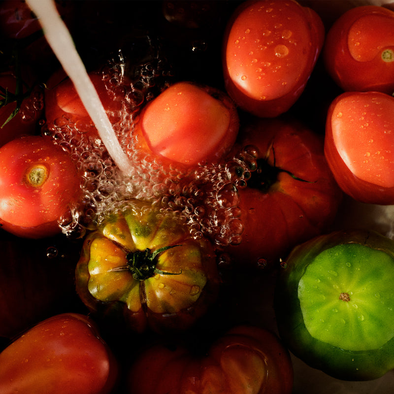 Tomato Trellis - Best Sellers Duo - view 2