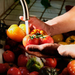 Tomato Trellis - Starter Kit