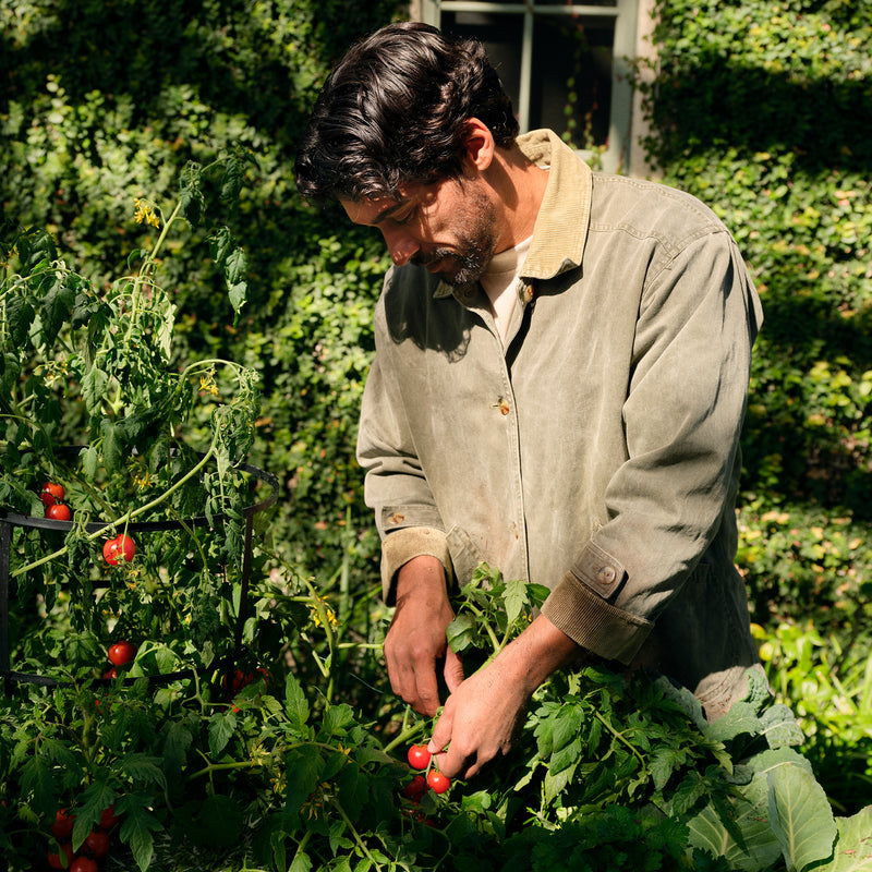 Tomato Trellis - Room Spray - view 4