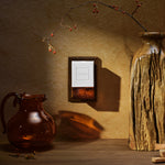 Baltic Amber - Wall Plug-In Starter Kit + Twin Refills Bundle