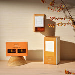 Baltic Amber - Wall Plug-In Starter Kit + Twin Refills Bundle