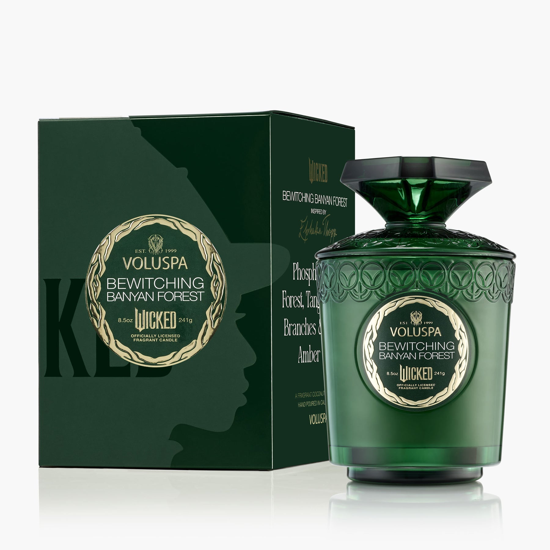 Bewitching Banyan Forest - Boxed Candle
