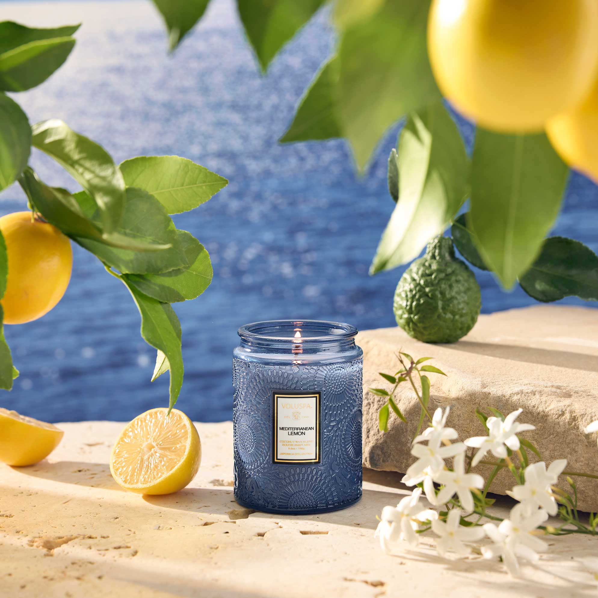 Mediterranean Lemon | Small Jar Candle | VOLUSPA