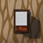 Baltic Amber - Wall Plug-In Starter Kit + Twin Refills Bundle