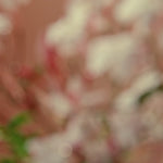 Nude Effect - 10ml Eau De Parfum