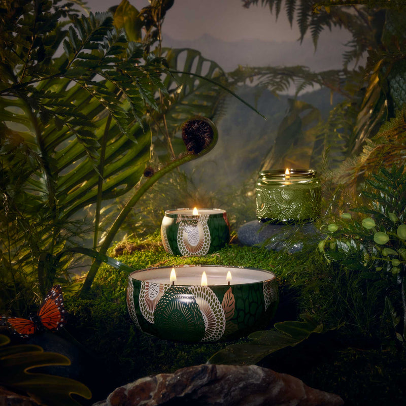 Temple Moss - 3 Wick Tin Candle