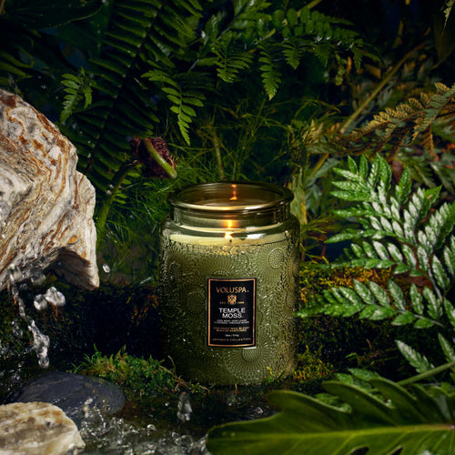 Temple Moss - Large Jar Candle