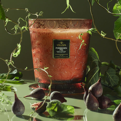 Forbidden Fig - 5 Wick Hearth Candle