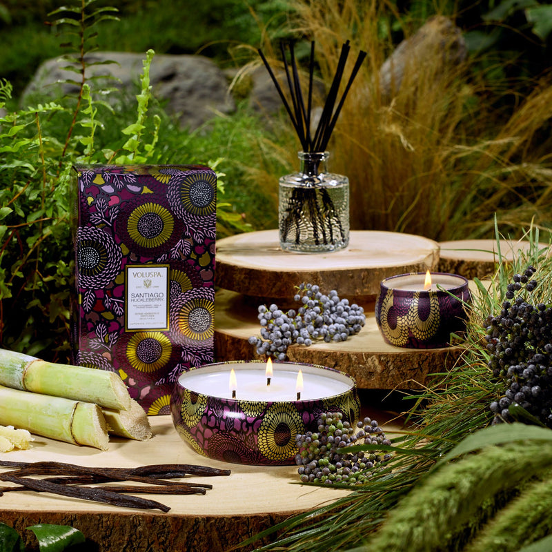 Santiago Huckleberry - Reed Diffuser - view 4