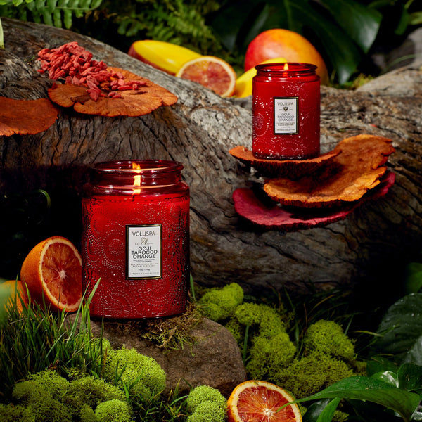 ORGANIC SOY WAX CANDLE - GOJI BERRY & ORANGE main image 1