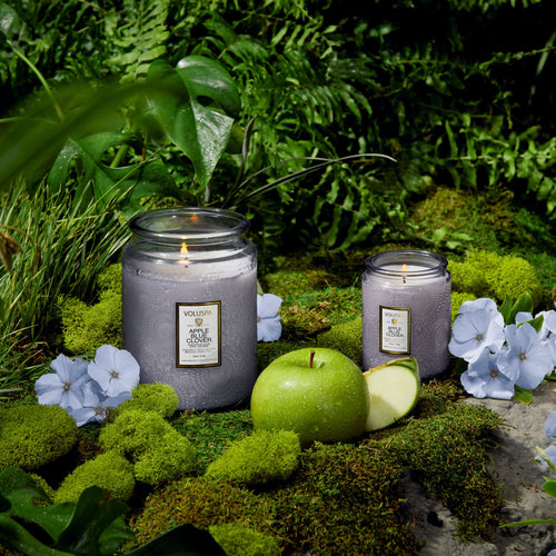 Apple Blue Clover - Large Jar Candle