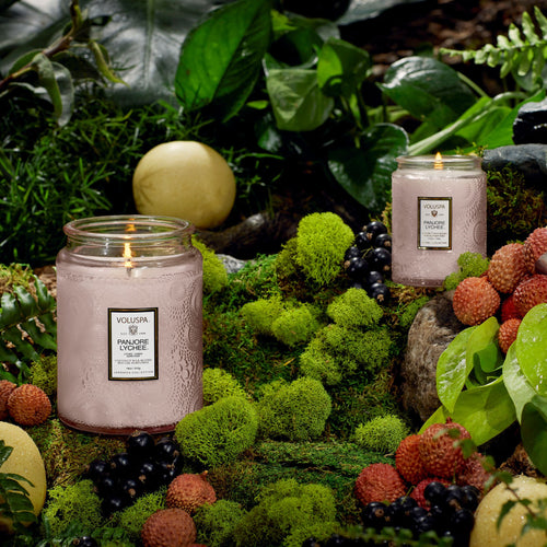 Panjore Lychee - Large Jar Candle